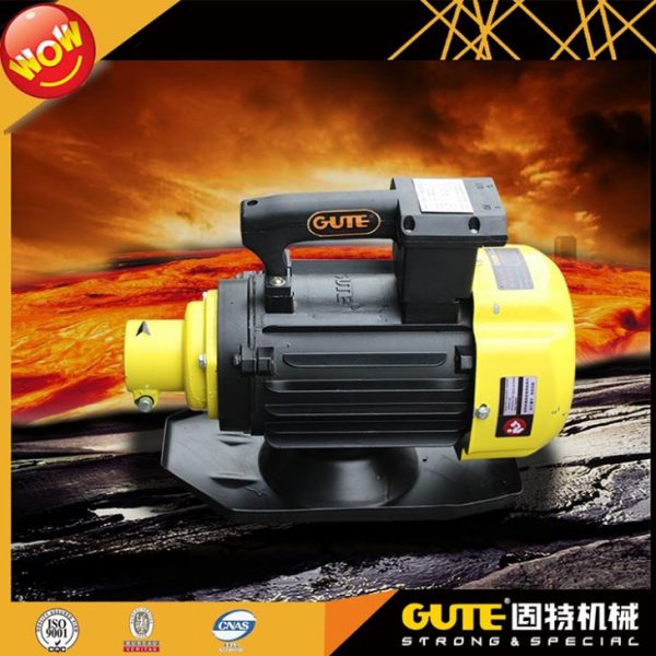 Electric Vibrator Motor